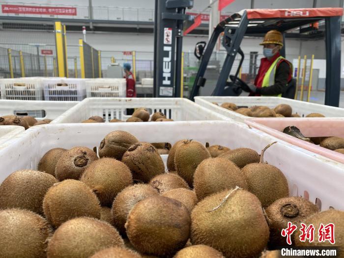 时隔二十年再度登上亚洲舞台：卡塔尔世界杯夜