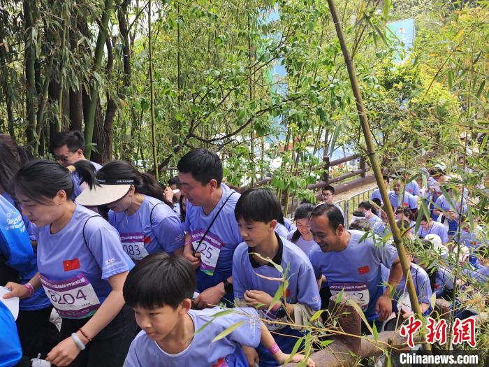 陕西山阳举办全国定向赛 500余名选手竞速天然氧